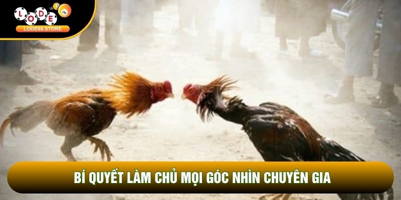 Bí quyết làm chủ mọi góc nhìn chuyên gia Bí quyết làm chủ mọi góc nhìn chuyên gia