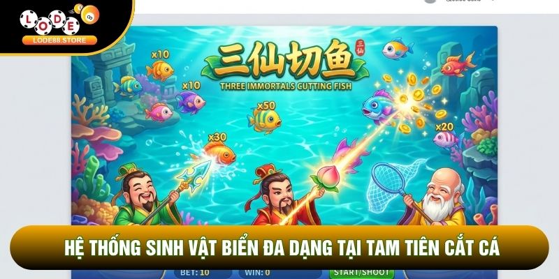 Hệ thống sinh vật biển đa dạng tại tam tiên cắt cá Hệ thống sinh vật biển đa dạng tại tam tiên cắt cá
