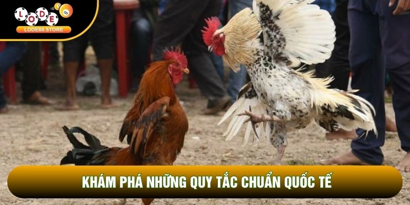 Khám phá những quy tắc chuẩn quốc tế Khám phá những quy tắc chuẩn quốc tế