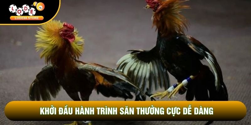 Khởi đầu hành trình săn thưởng cực dễ dàng Khởi đầu hành trình săn thưởng cực dễ dàng