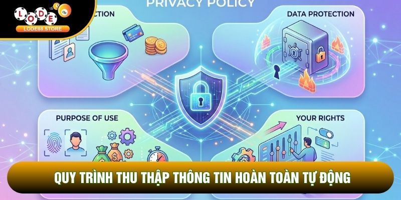 Quy trình thu thập thông tin hoàn toàn tự động